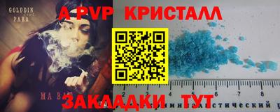 СК Новоалександровск