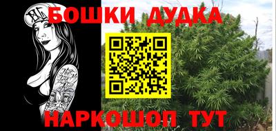 шишки Новоалтайск