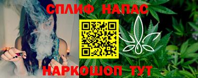 шишки Новоалтайск