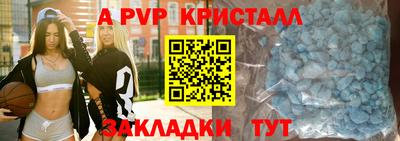 СК Новоалександровск
