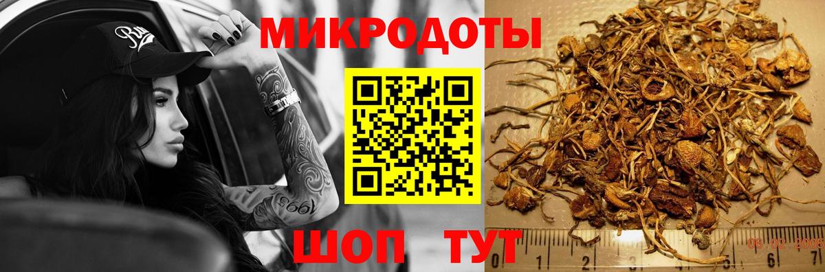 Галлюциногенные грибы MAGIC MUSHROOMS Людиново