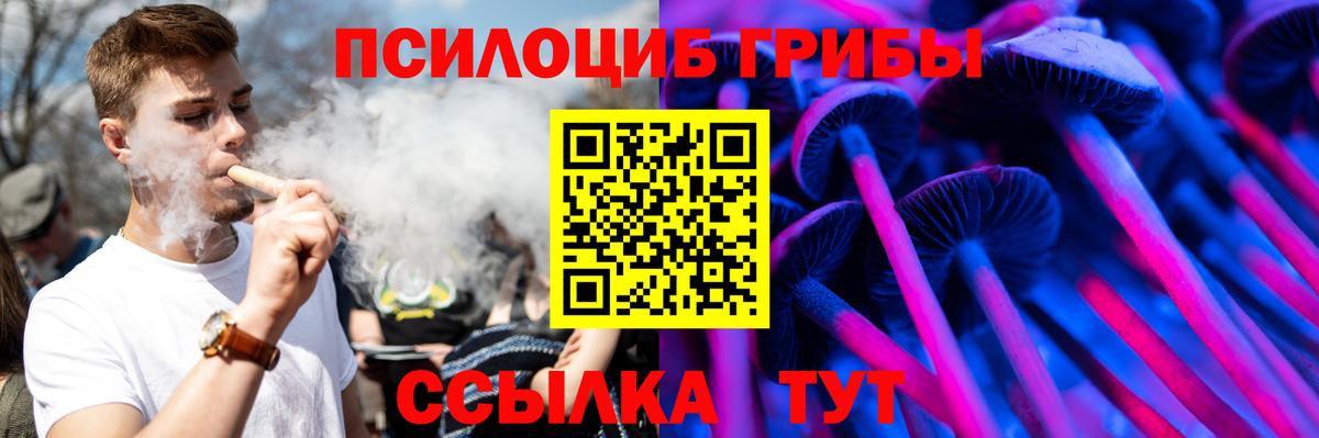 Людиново  Галлюциногенные грибы мицелий  Вход с VPN 